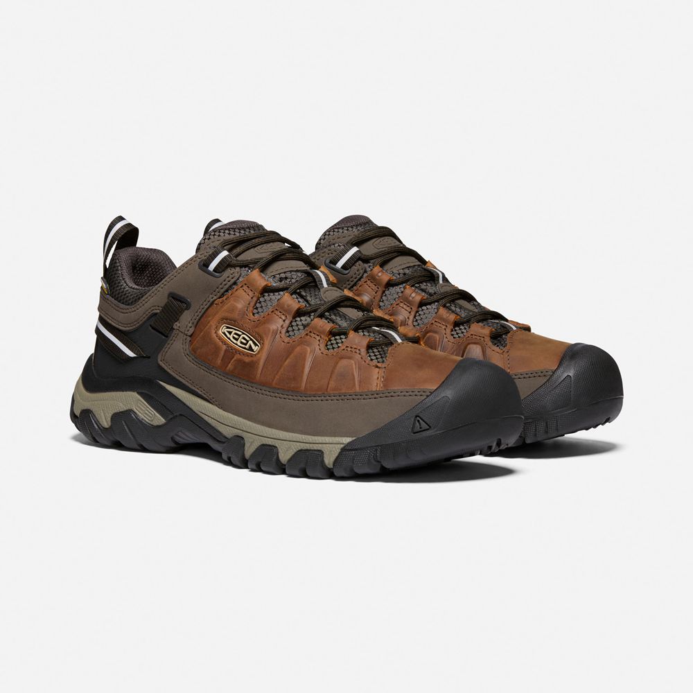 Keen Wandelschoenen Heren Bruin - Targhee Iii Waterproof - 30271-GBOF